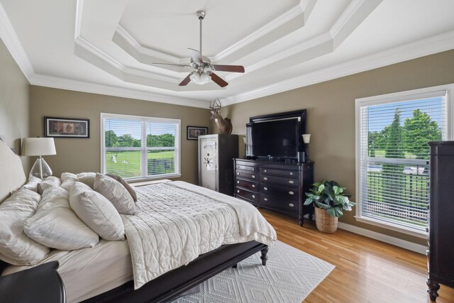 1926 Cliffview Ct, Murfreesboro, TN 37128 - bedroom with multiple windows, a raised ceiling, crown molding, light wood finished floors, and ceiling fan