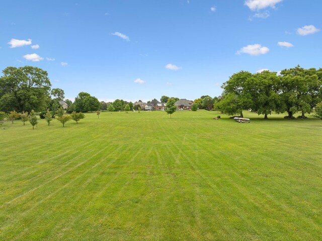 1926 Cliffview Ct, Murfreesboro, TN 37128 - view of green lawn