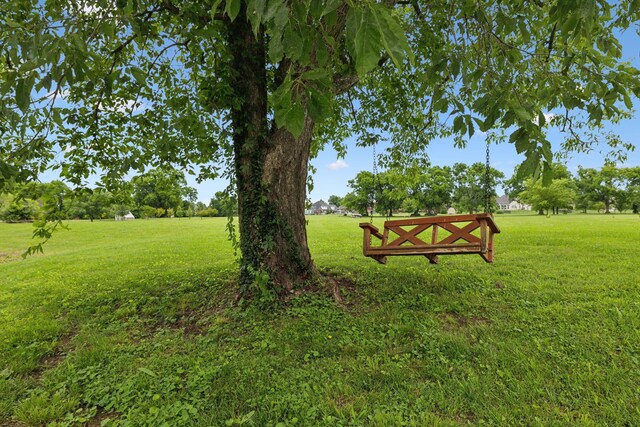 1926 Cliffview Ct, Murfreesboro, TN 37128 - view of grassy yard