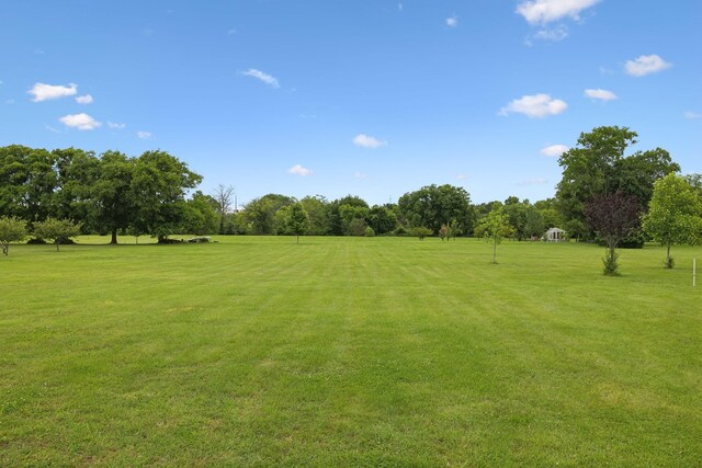 1926 Cliffview Ct, Murfreesboro, TN 37128 - view of grassy yard