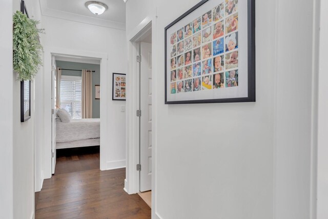 1240 Hensfield Dr, Murfreesboro, TN 37128 - hall featuring wood finished floors, baseboards, and crown molding