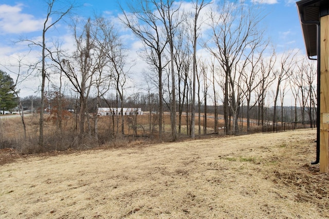 1717 Heritage Dr, Clarksville, TN 37043 - photo 55
