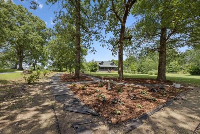 1531 Taylor Town Rd, White Bluff, TN 37187 - photo 5