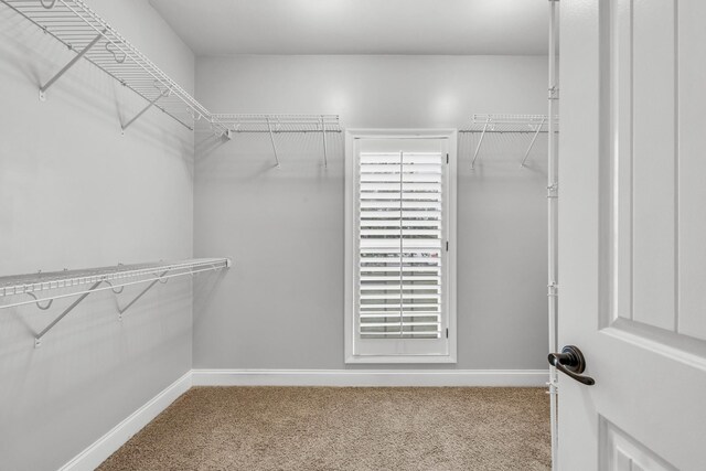 217 Fantasia Way, Clarksville, TN 37043 - photo 26