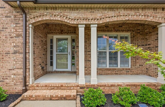217 Fantasia Way, Clarksville, TN 37043 - photo 6