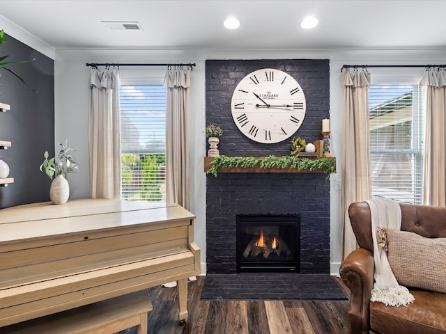 3005 Langston Pl, Spring Hill, TN 37174 - living area featuring wood finished floors, a fireplace, and plenty of natural light