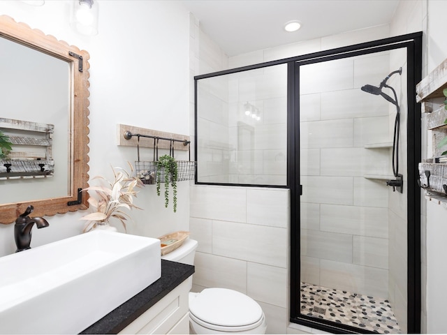 3005 Langston Pl, Spring Hill, TN 37174 - bathroom with vanity, toilet, and a stall shower