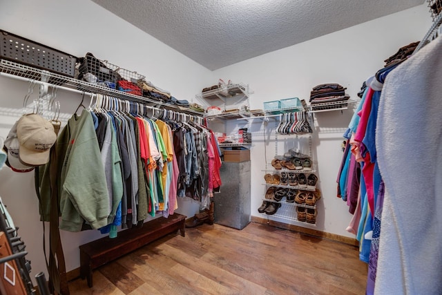 239 Henry Bayless Rd, Ardmore, TN 38449 - walk in closet with wood finished floors