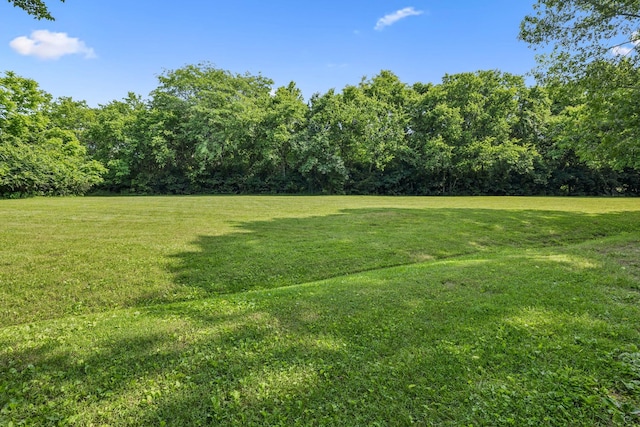4235 Columbia Pike, Franklin, TN 37064 - view of grassy yard featuring a wooded view