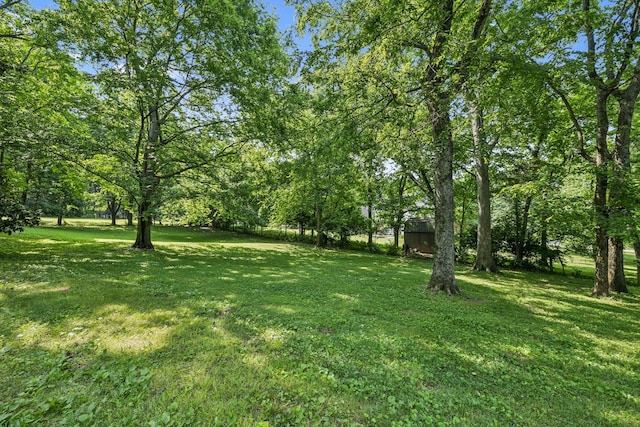 4235 Columbia Pike, Franklin, TN 37064 - view of green lawn