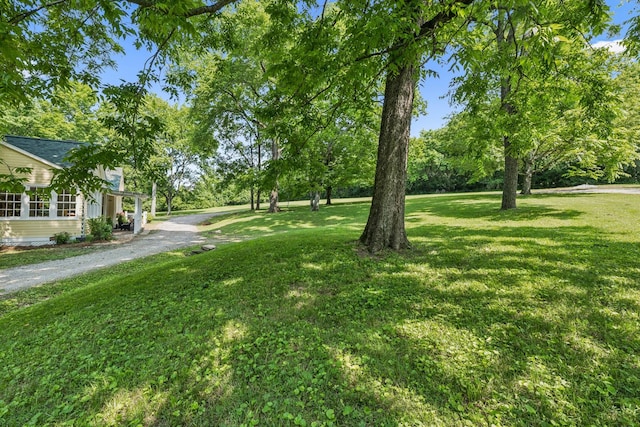 4235 Columbia Pike, Franklin, TN 37064 - view of grassy yard