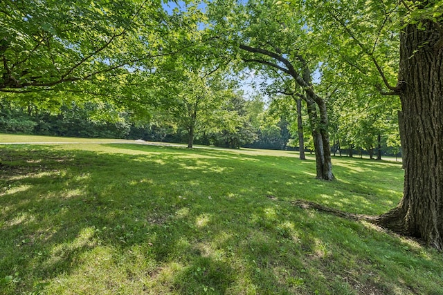 4235 Columbia Pike, Franklin, TN 37064 - view of grassy yard