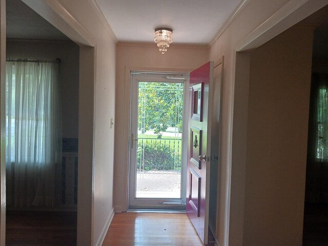 166 Westview St, Camden, TN 38320 - doorway to outside with wood finished floors, a chandelier, baseboards, and ornamental molding