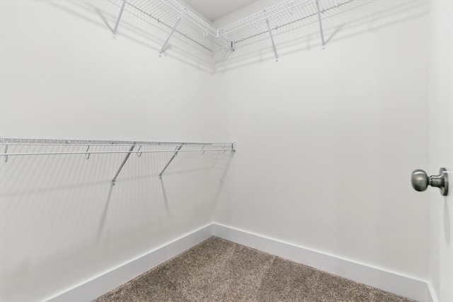 1565 Collins View Way, Clarksville, TN 37043 - photo 48