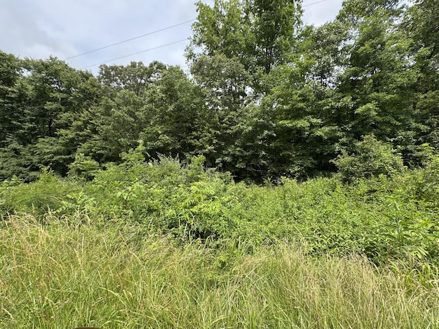 0 Quail Hollow Dr, Summertown, TN 38483 - photo 8