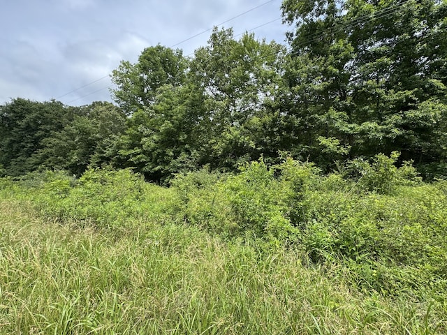 0 Quail Hollow Dr, Summertown, TN 38483 - photo 4