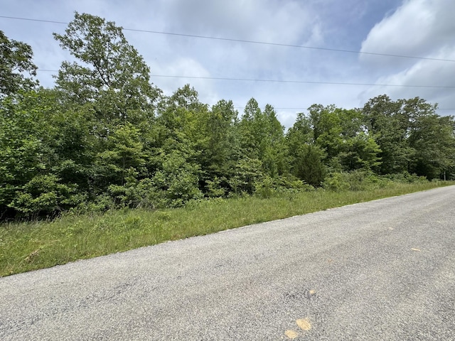 0 Quail Hollow Dr, Summertown, TN 38483 - photo 6
