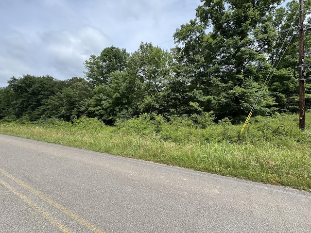 0 Quail Hollow Dr, Summertown, TN 38483 - photo 3