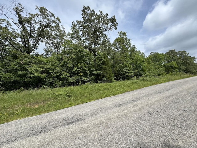 0 Quail Hollow Dr, Summertown, TN 38483 - photo 5
