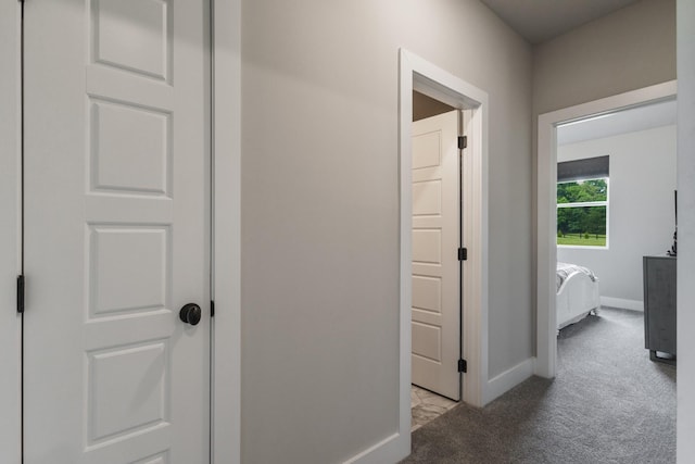1021 Eljie Rd, Cumberland Furnace, TN 37051 - hallway featuring light carpet and baseboards