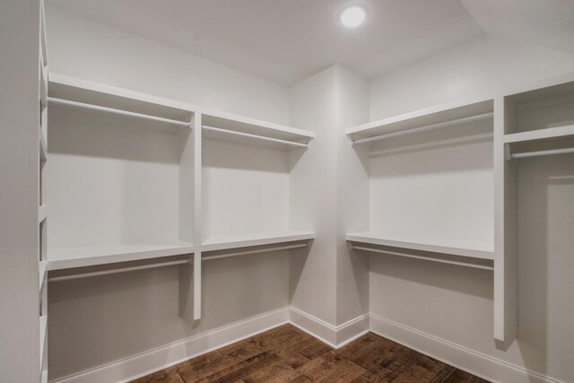 5124 Southfork Blvd, Old Hickory, TN 37138 - spacious closet with dark wood-style flooring