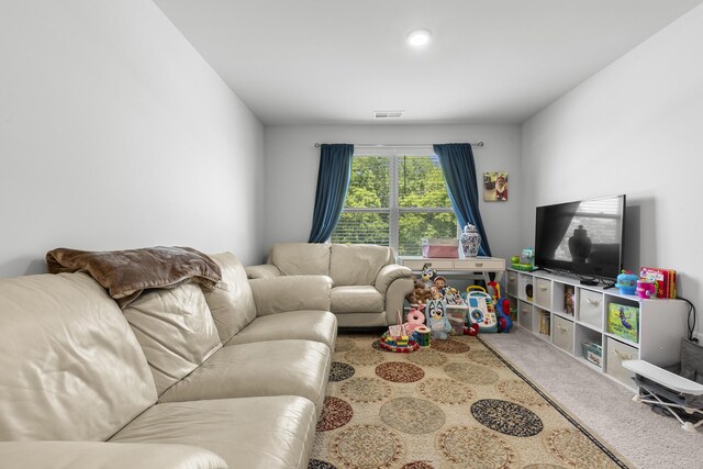 5049 Hunters Village Dr, Lebanon, TN 37087 - photo 18