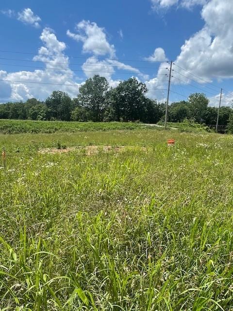 960 W Trimble Rd, Milton, TN 37118