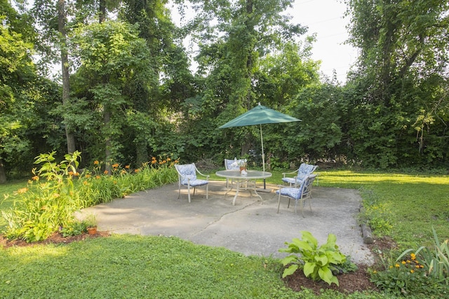 125 Neese Dr, Nashville, TN 37211 - view of patio / terrace