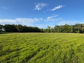 2 Mathis Rd, Charlotte, TN 37036