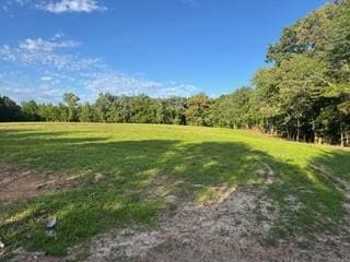 2 Mathis Rd, Charlotte, TN 37036