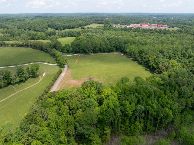 2 Mathis Rd, Charlotte, TN 37036