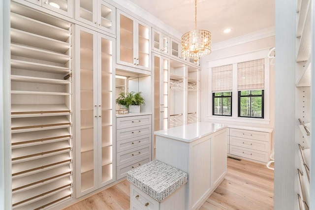 1 Old S Rd, Murfreesboro, TN 37128 - spacious closet with a chandelier and light wood finished floors