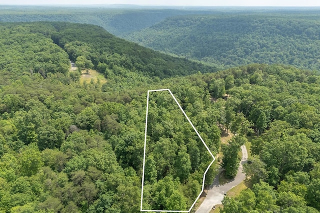 146A Falls Ln, Spencer, TN 38585