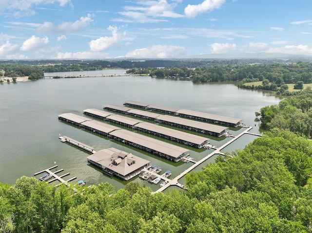 120 Pontoon Pl, Winchester, TN 37398 - photo 56