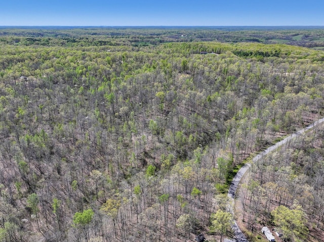 0 Slaughter Rd, Primm Springs, TN 38476