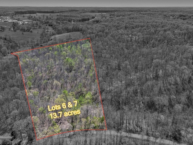 0 Slaughter Rd, Primm Springs, TN 38476