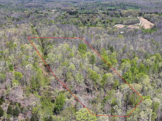 0 Slaughter Rd, Primm Springs, TN 38476