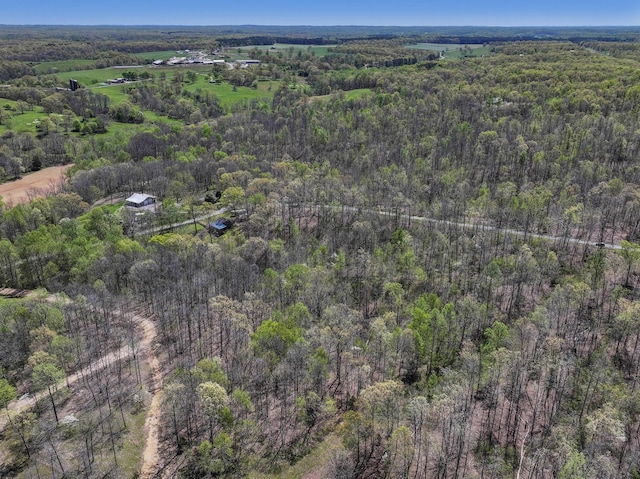 0 Slaughter Rd, Primm Springs, TN 38476