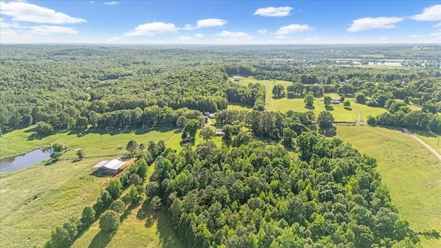 2890 Nance Bend Rd, Clifton, TN 38425 - drone / aerial view