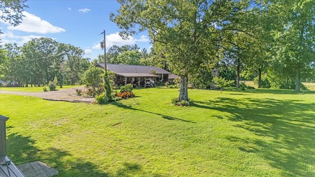 2890 Nance Bend Rd, Clifton, TN 38425 - view of green lawn with view of wooded area