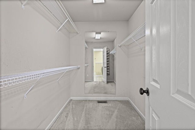 5009 Lanier Dr, Greenbrier, TN 37073 - spacious closet with carpet