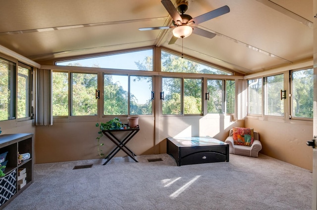 930 Havenhill Dr, Nashville, TN 37217 - sunroom with lofted ceiling, carpet flooring, and ceiling fan
