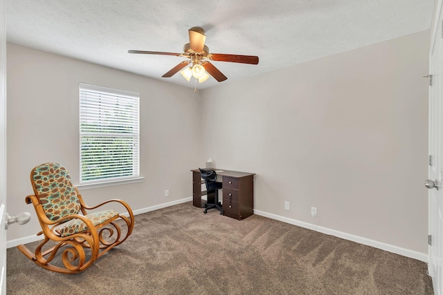 905 Azeri Ave, Murfreesboro, TN 37128 - sitting room with a ceiling fan, carpet flooring, baseboards, a textured ceiling, and a desk