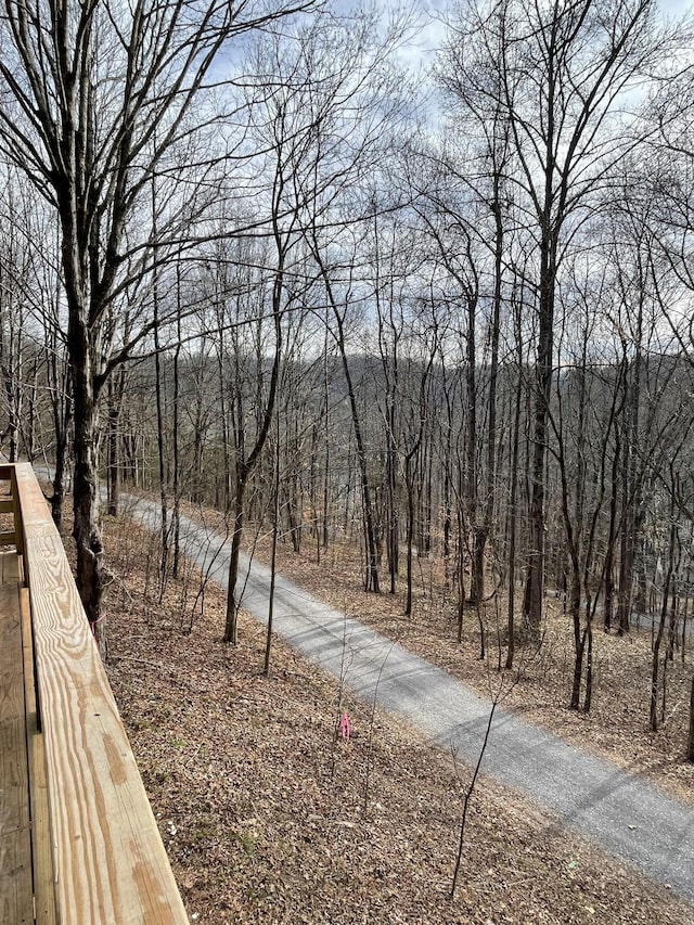 8861 Aunt Helen Rd, Silver Point, TN 38582 - view of road featuring a wooded view
