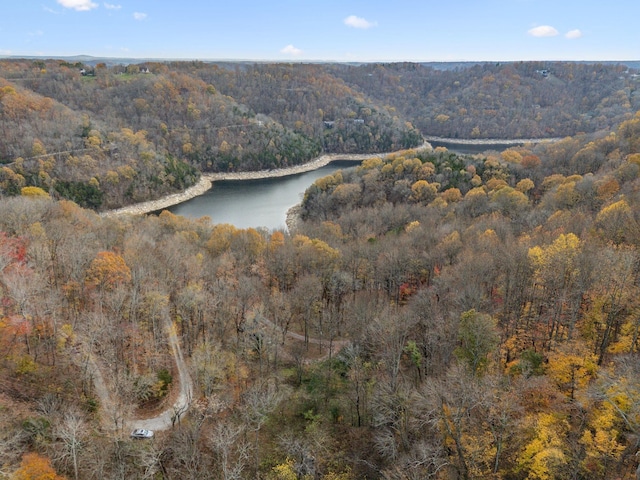 8861 Aunt Helen Rd, Silver Point, TN 38582 - aerial overview of property's location with a forest and a large body of water