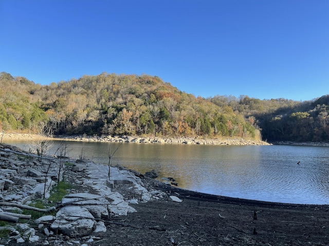 8861 Aunt Helen Rd, Silver Point, TN 38582 - water view with a forest