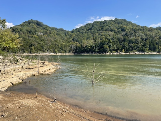8861 Aunt Helen Rd, Silver Point, TN 38582 - water view with a heavily wooded area