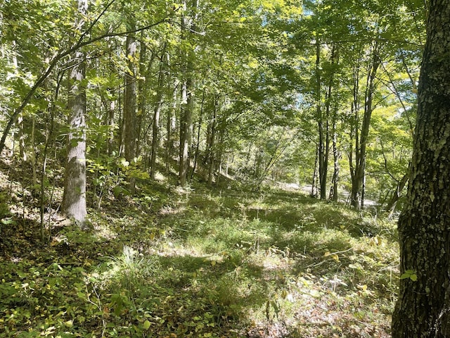 8861 Aunt Helen Rd, Silver Point, TN 38582 - view of tree filled area