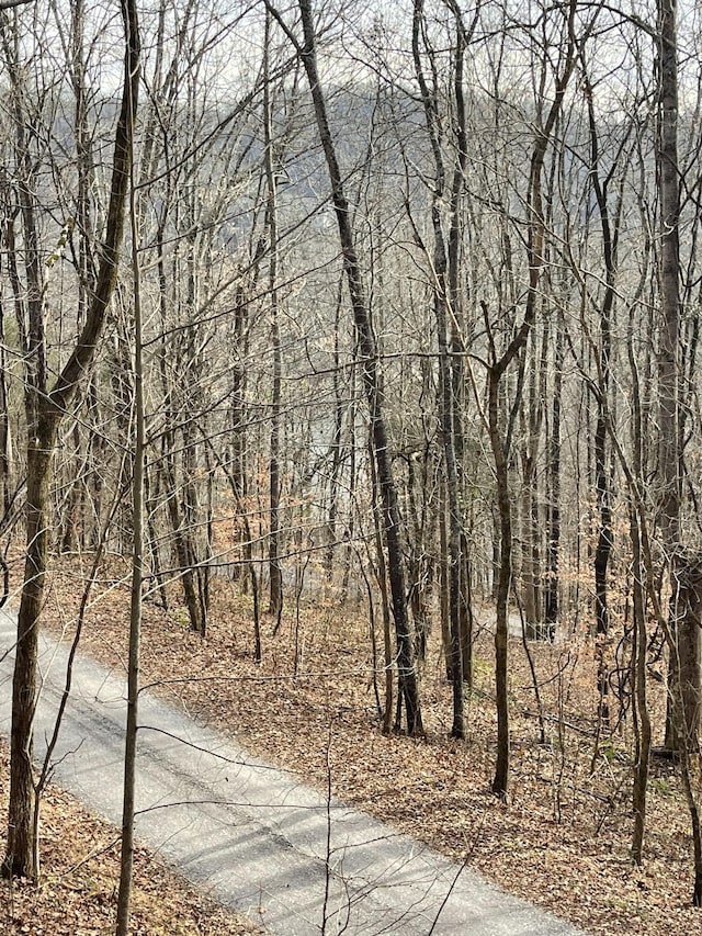 8861 Aunt Helen Rd, Silver Point, TN 38582 - view of street