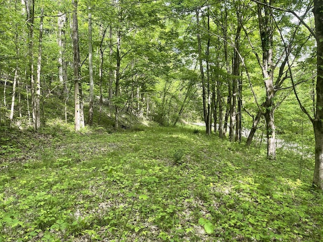 8861 Aunt Helen Rd, Silver Point, TN 38582 - view of wooded area